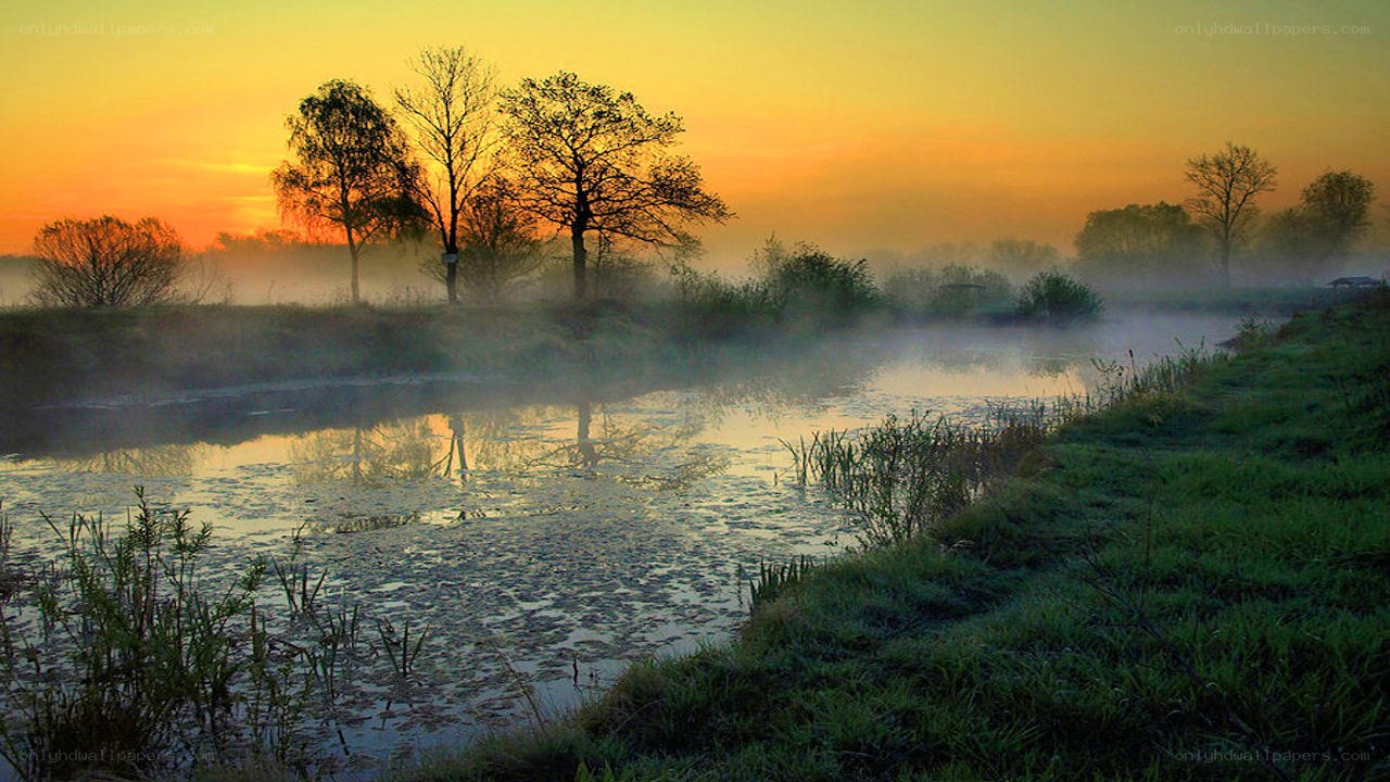 Foggy river at sunrise