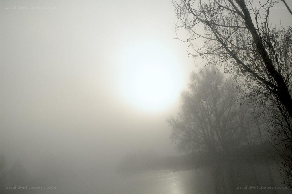 Foggy river at sunrise