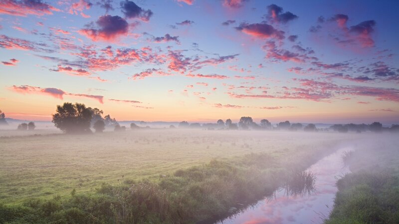 Foggy River at Sunrise — Pink, Serene