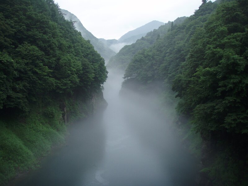 foggy river in a forested canyon