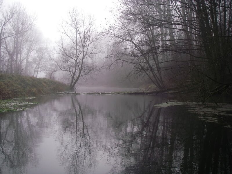 Foggy river in winter