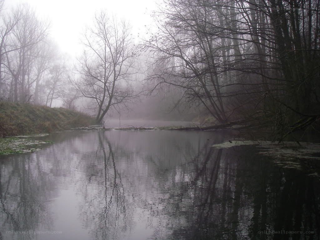 Foggy river in winter