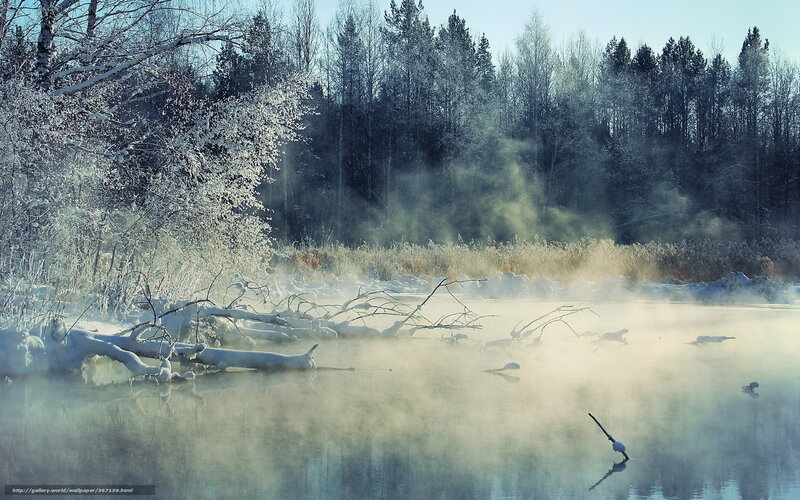 Foggy River in Winter — Blue