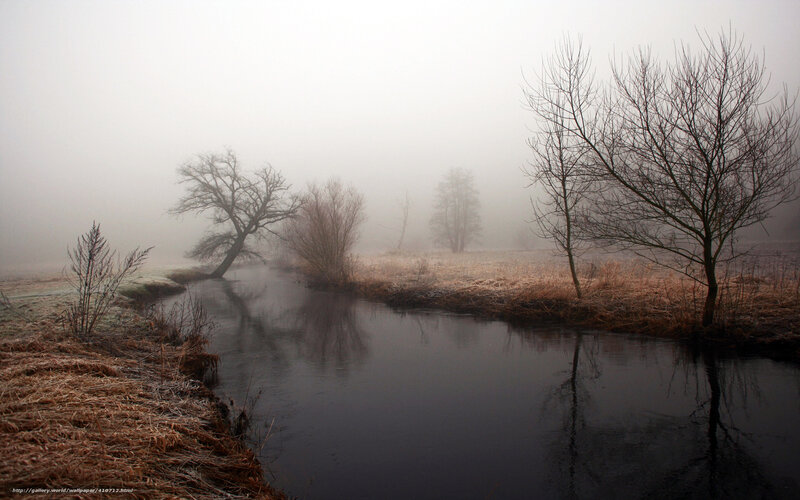 Foggy River in Winter — Gray