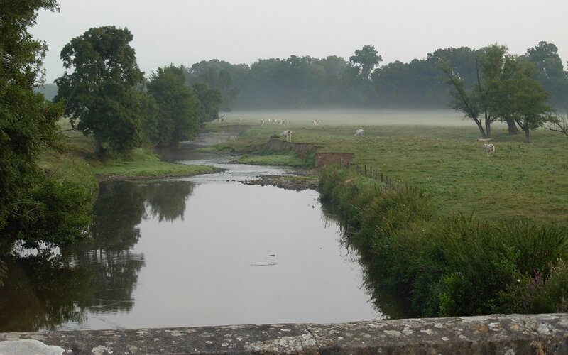foggy river landscape
