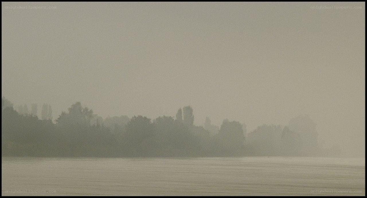foggy river landscape