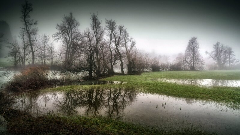 Foggy River Landscape — Green