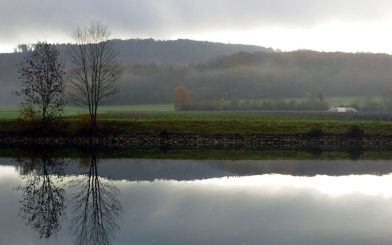 Foggy river landscape with trees
