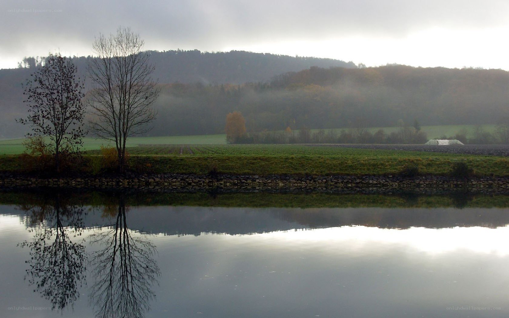 Foggy river landscape with trees