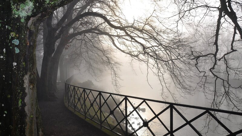 Foggy river path at dawn