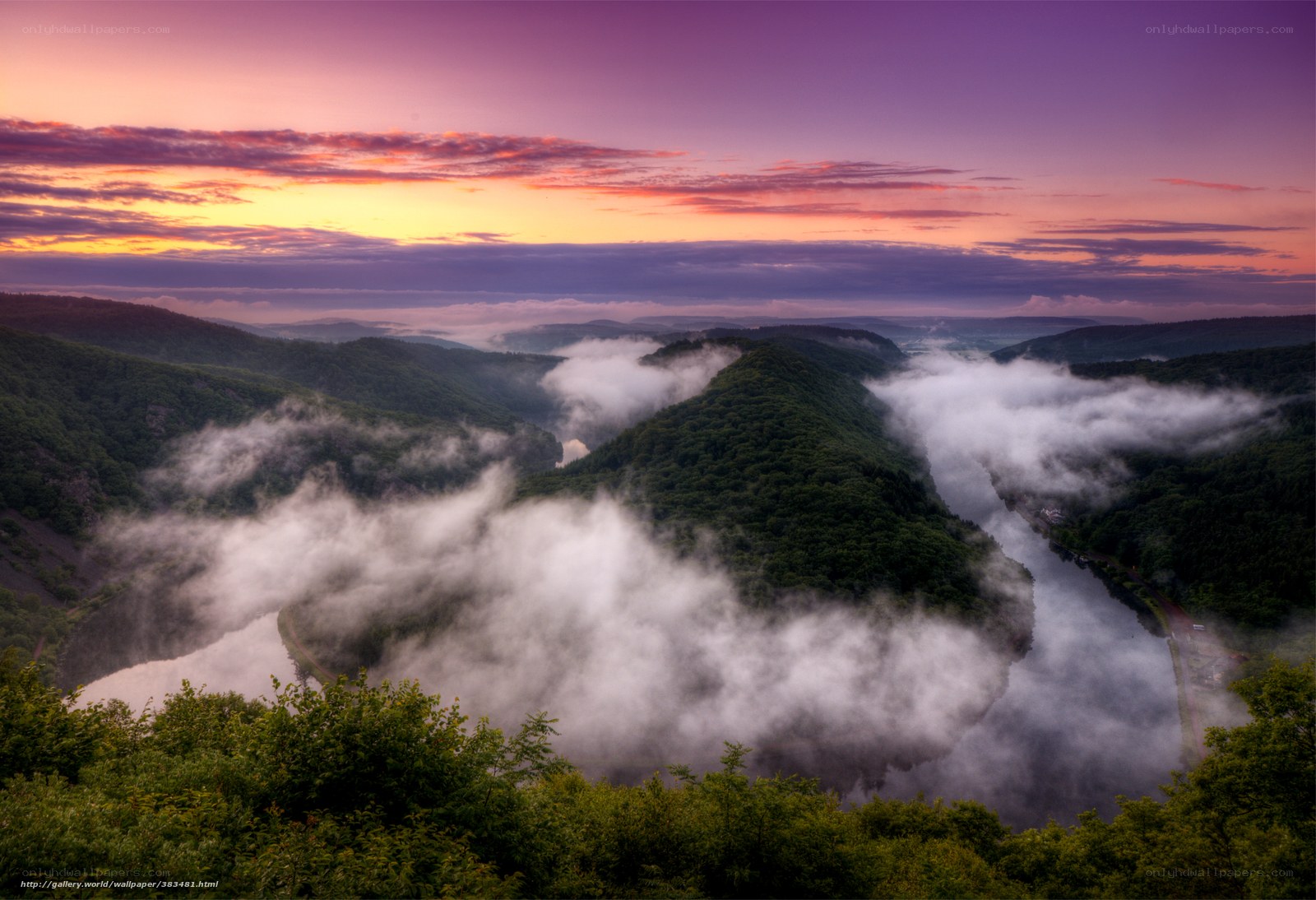 Foggy River Valley at Sunrise