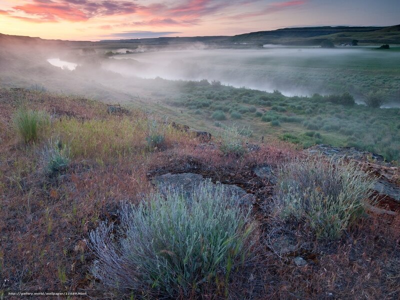 Foggy river valley at sunrise