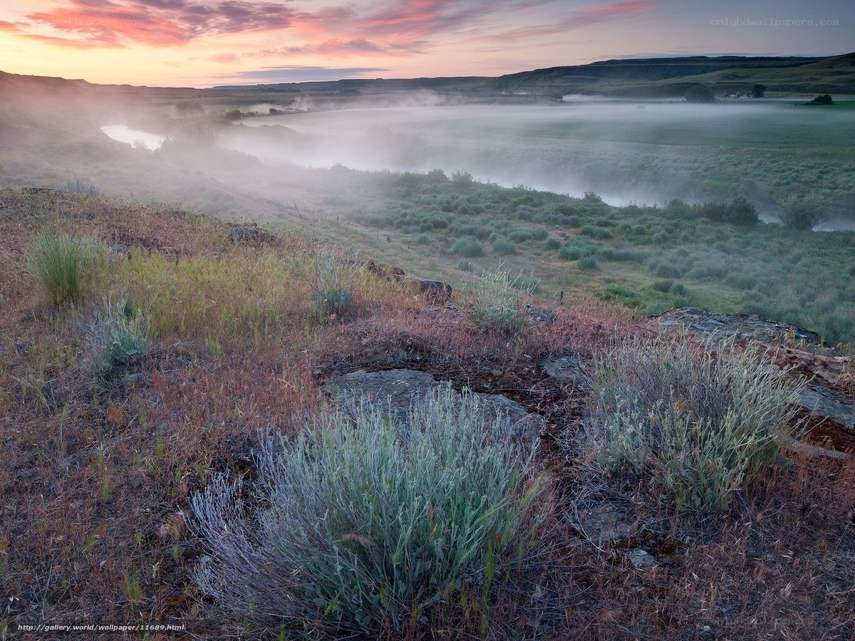Foggy river valley at sunrise