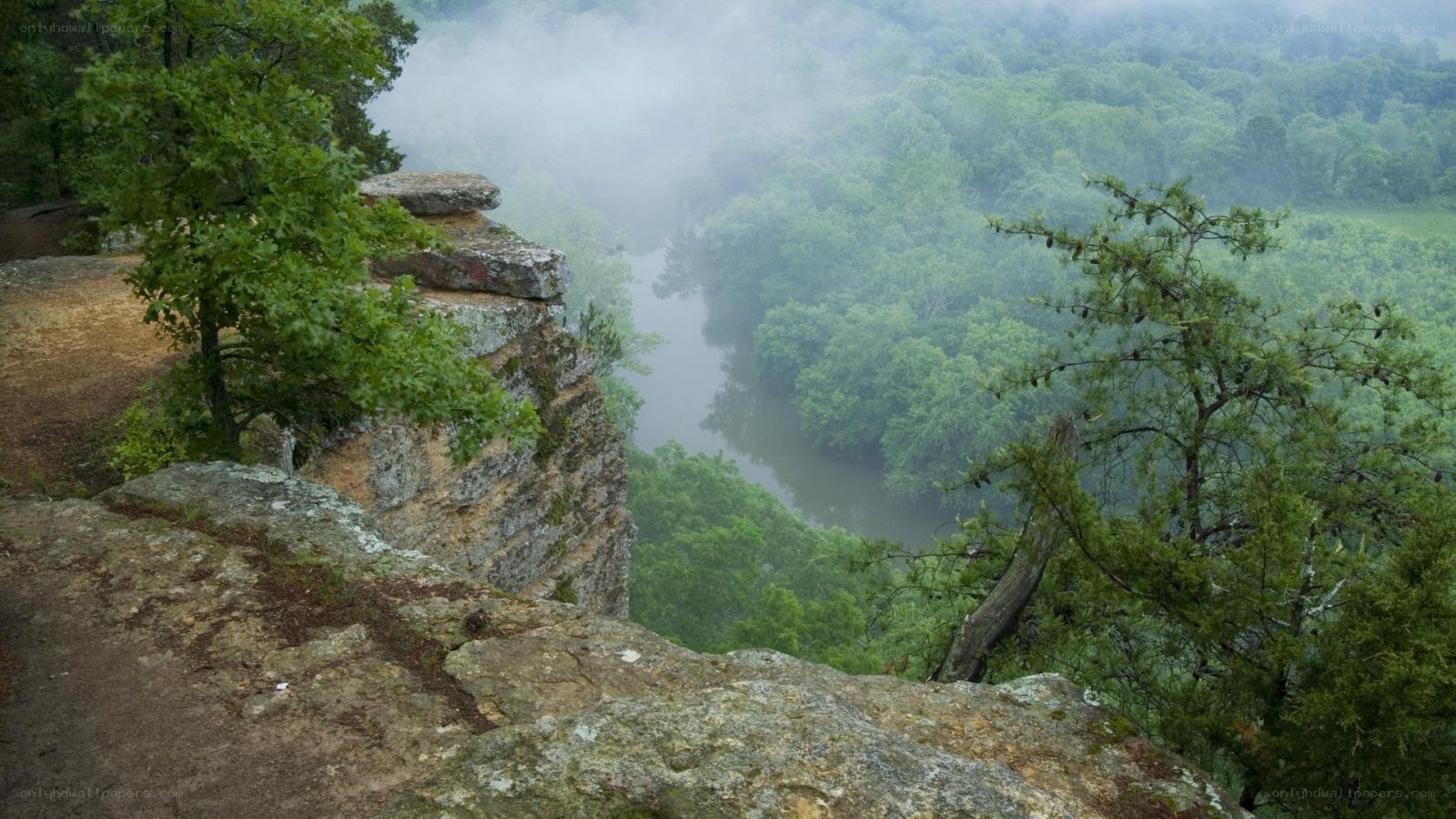 foggy river valley from cliff