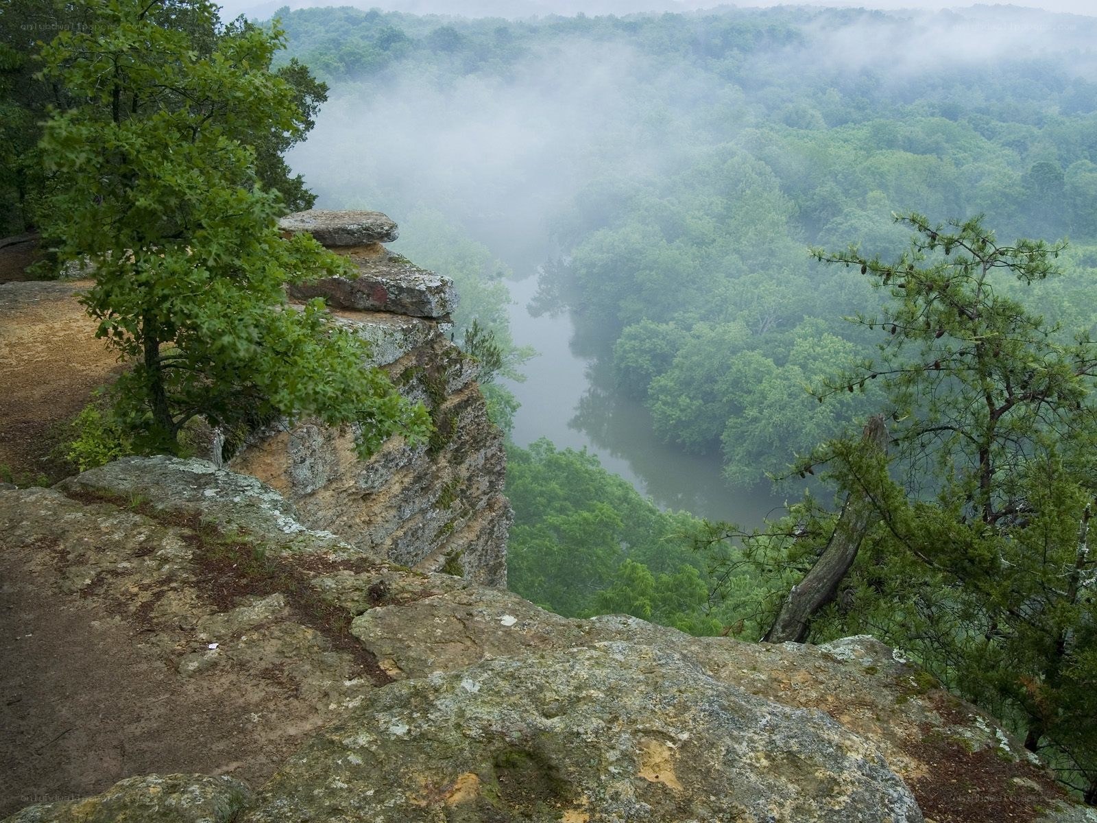 foggy river valley from cliff