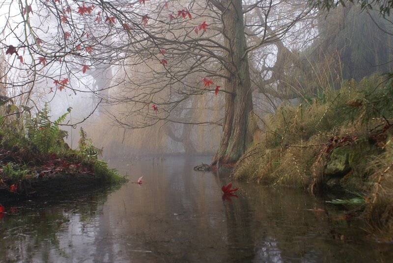 Foggy river with autumn leaves