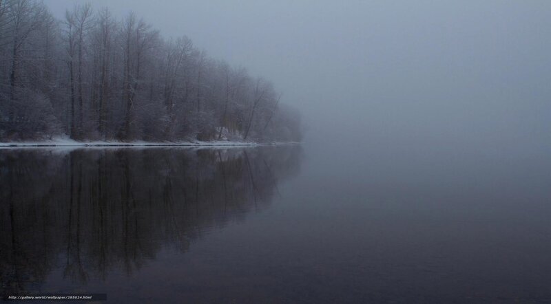 Foggy River with Trees — Gray