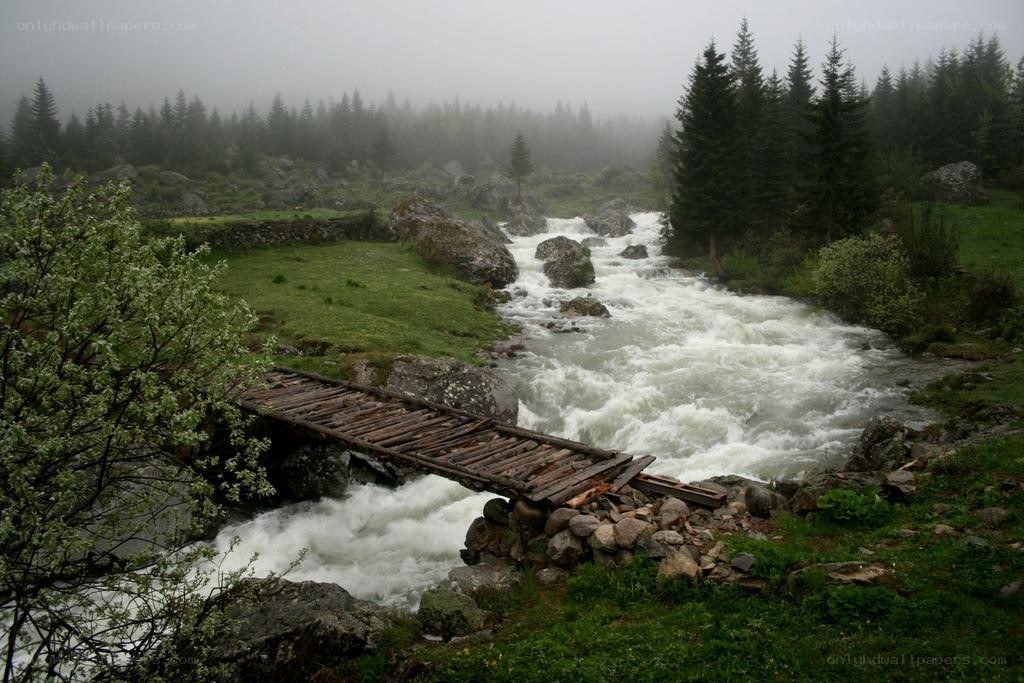 Foggy river with wooden bridge