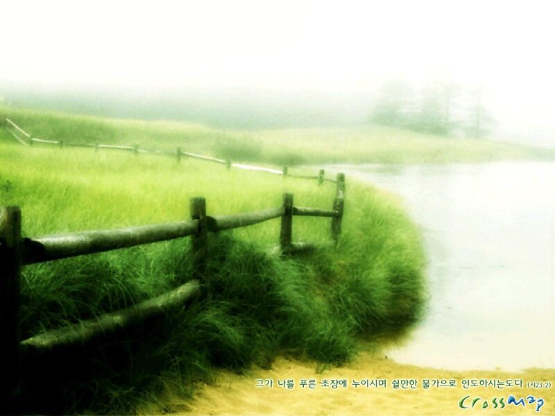 Foggy river with wooden fence