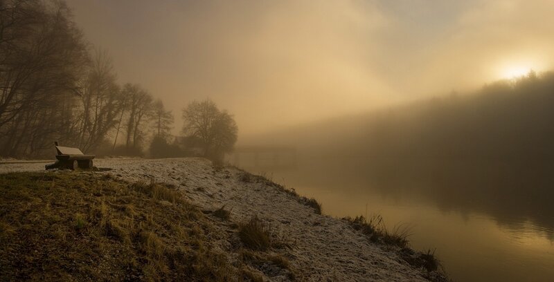 Foggy Riverbank at Dawn — Gold