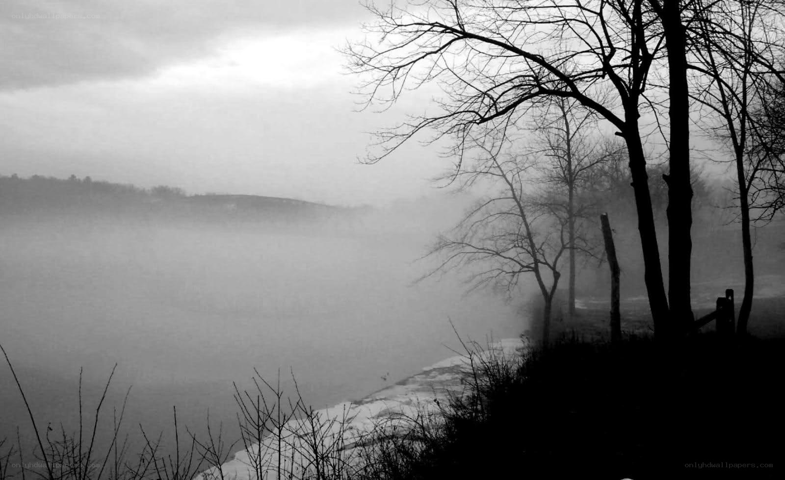 foggy riverbank at dawn
