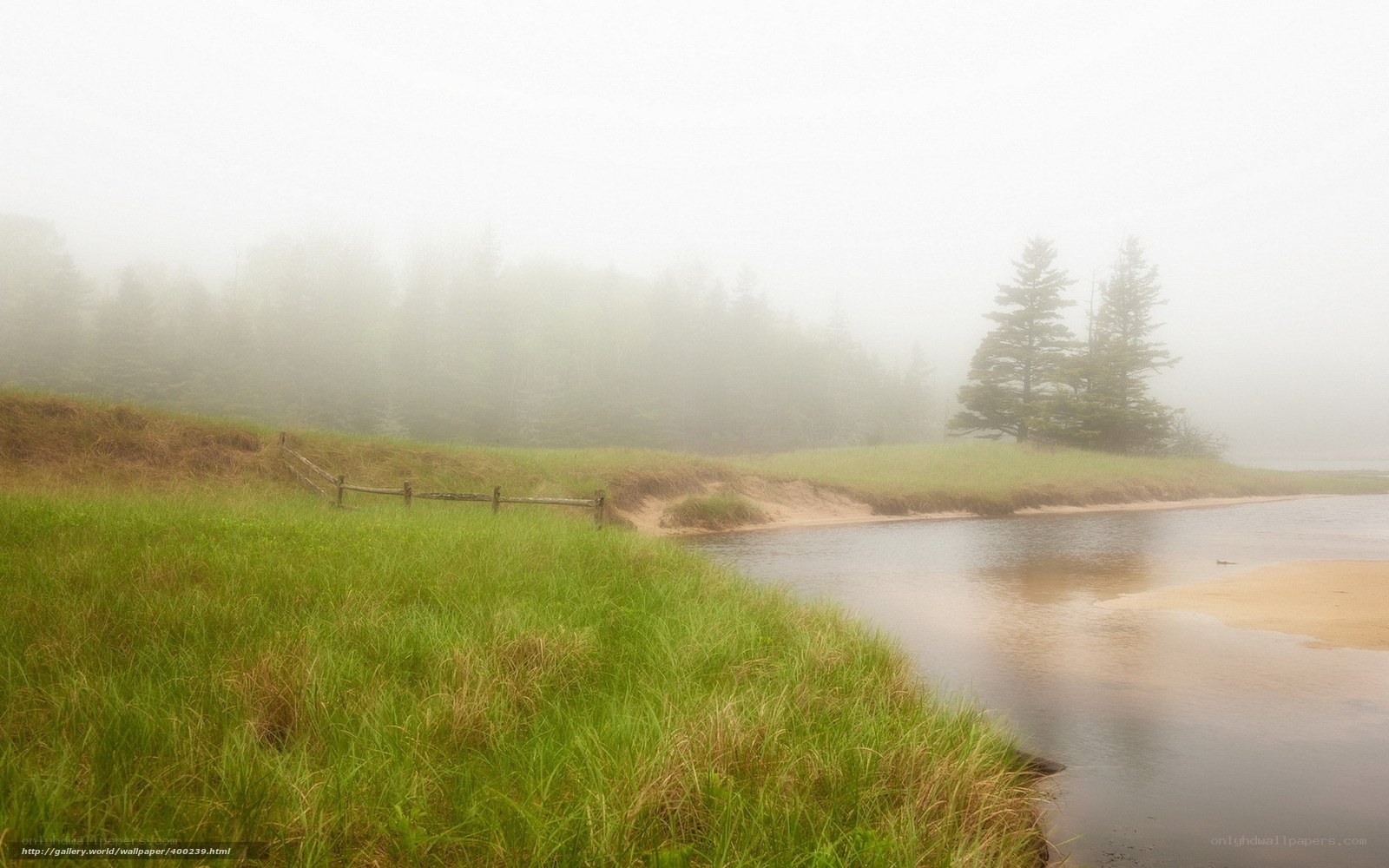 Foggy riverbank landscape