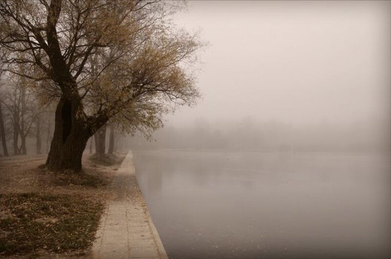 Foggy riverbank path