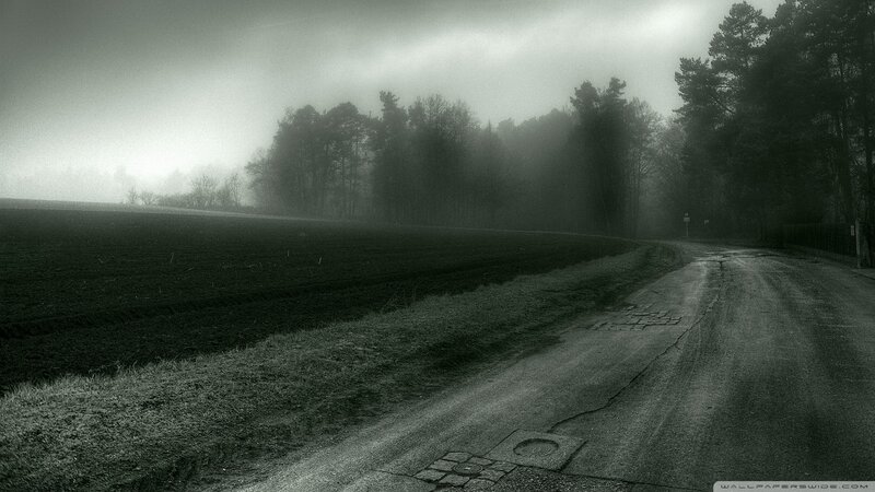 Foggy Road and Field