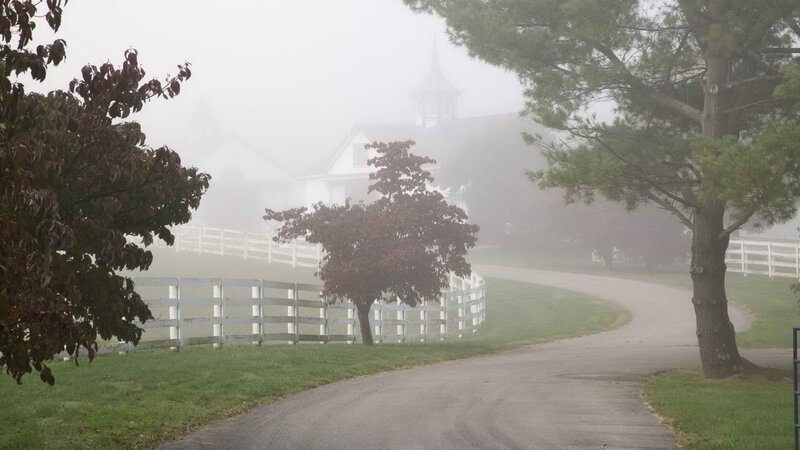 Foggy road at a horse farm