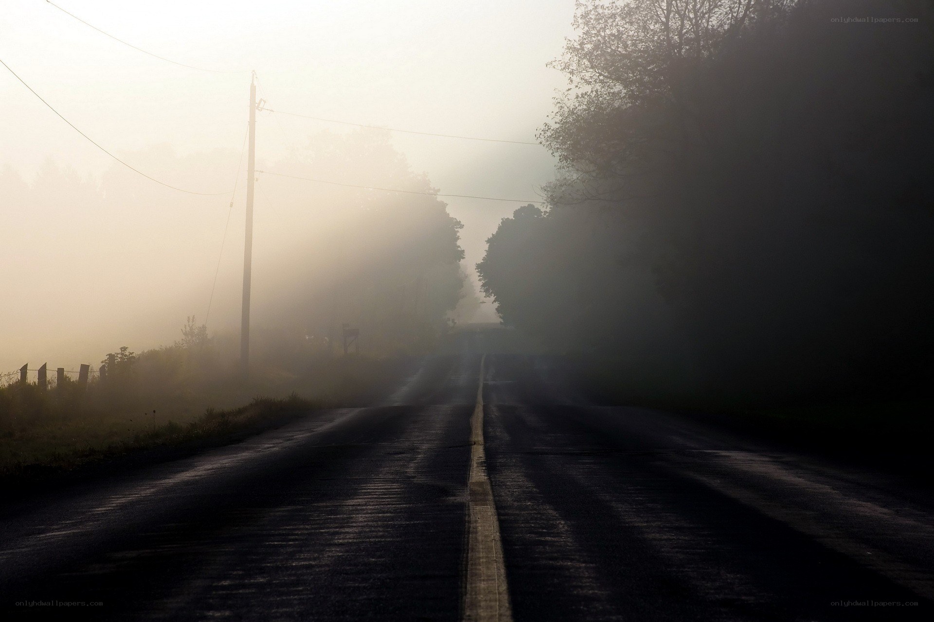 Foggy road at dawn