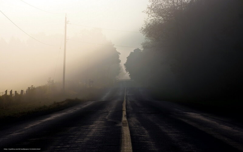 Foggy Road at Dawn
