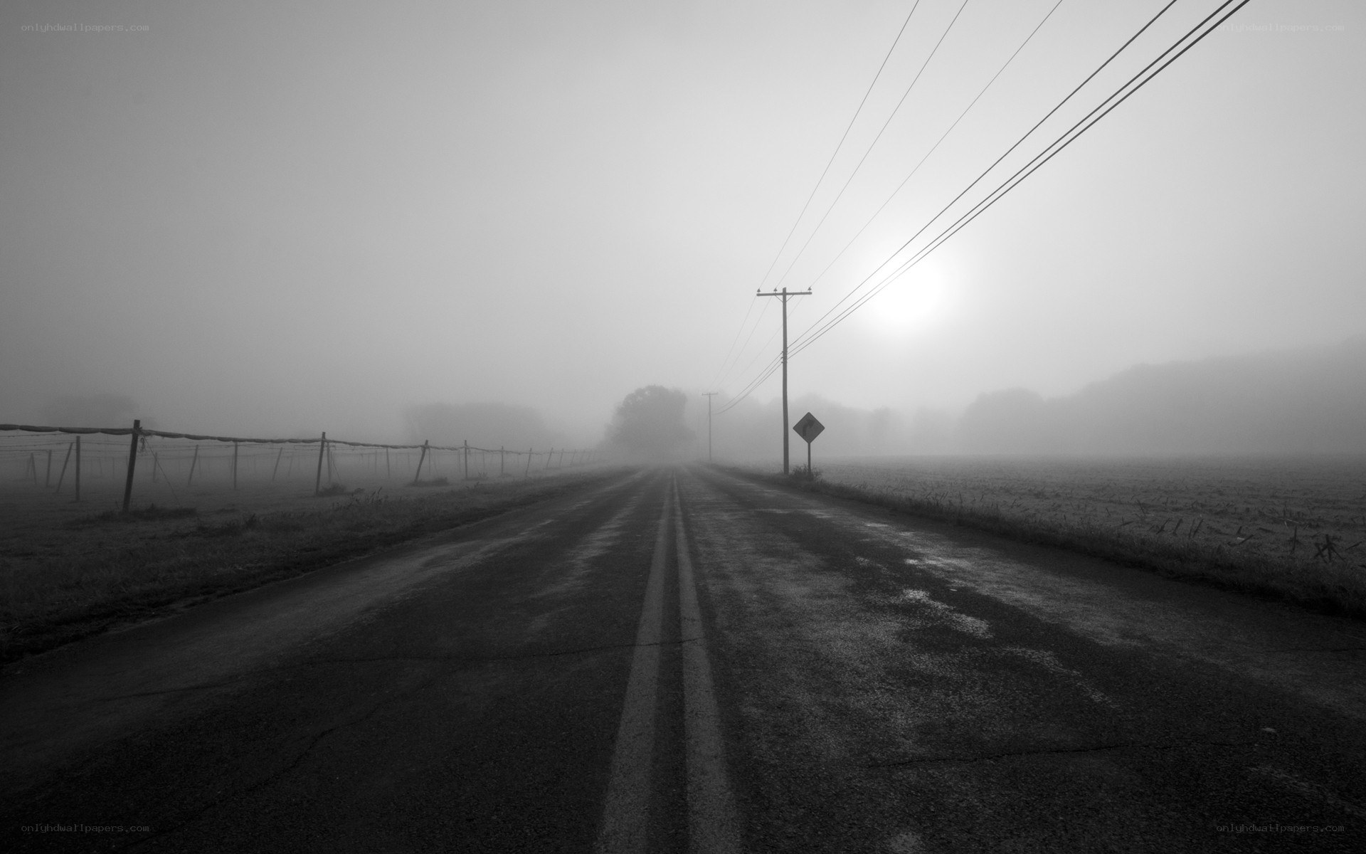 Foggy road at dawn