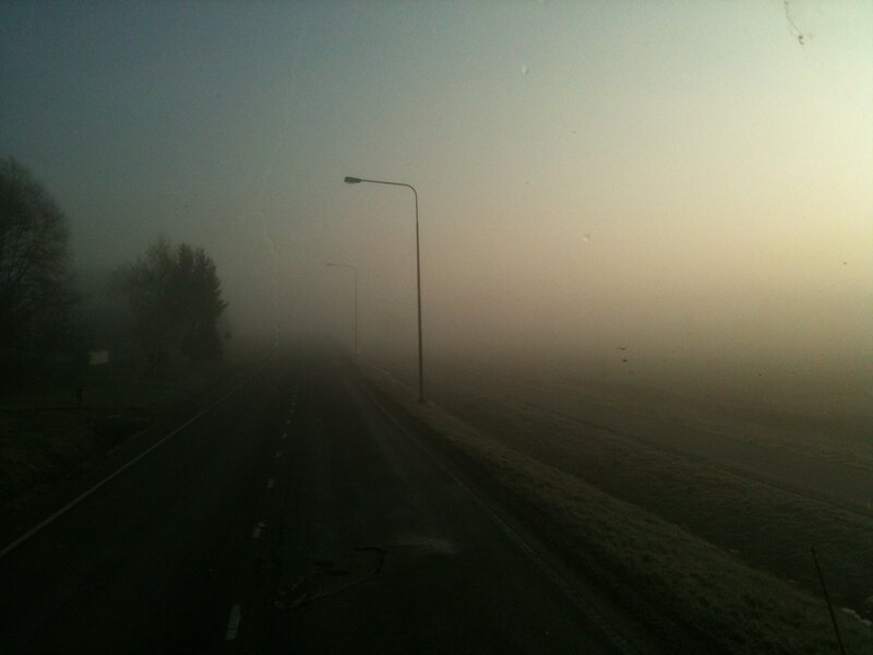foggy road at dawn
