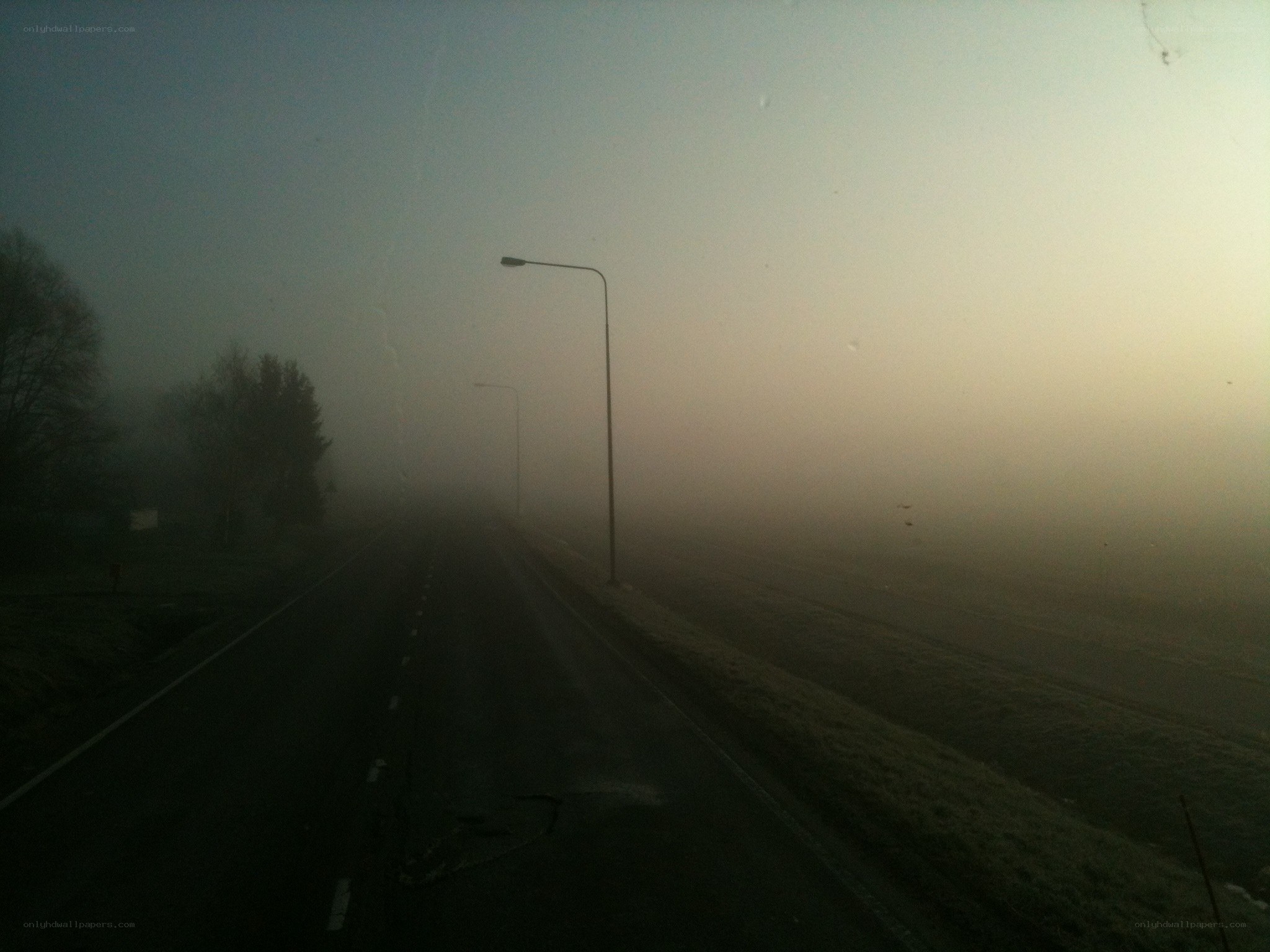 foggy road at dawn