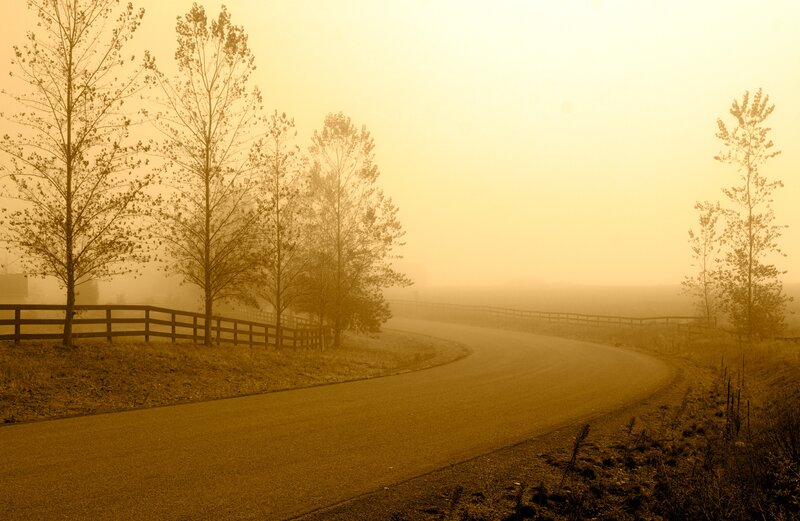 Foggy road at dawn