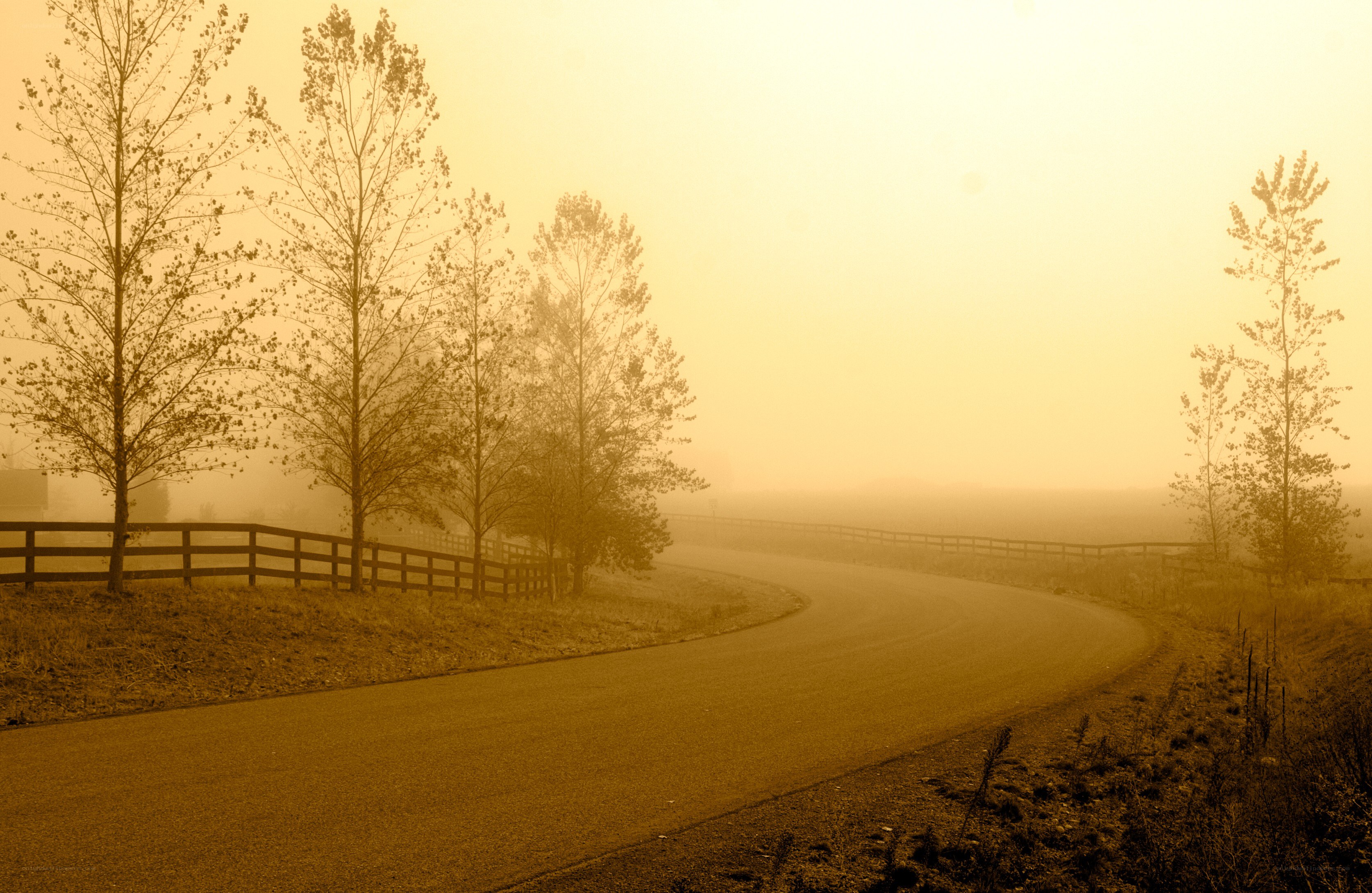 Foggy road at dawn
