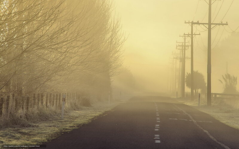 Foggy Road at Dawn — Yellow, Misty
