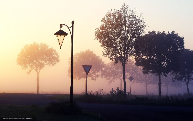 Foggy Road at Dawn — Yellow