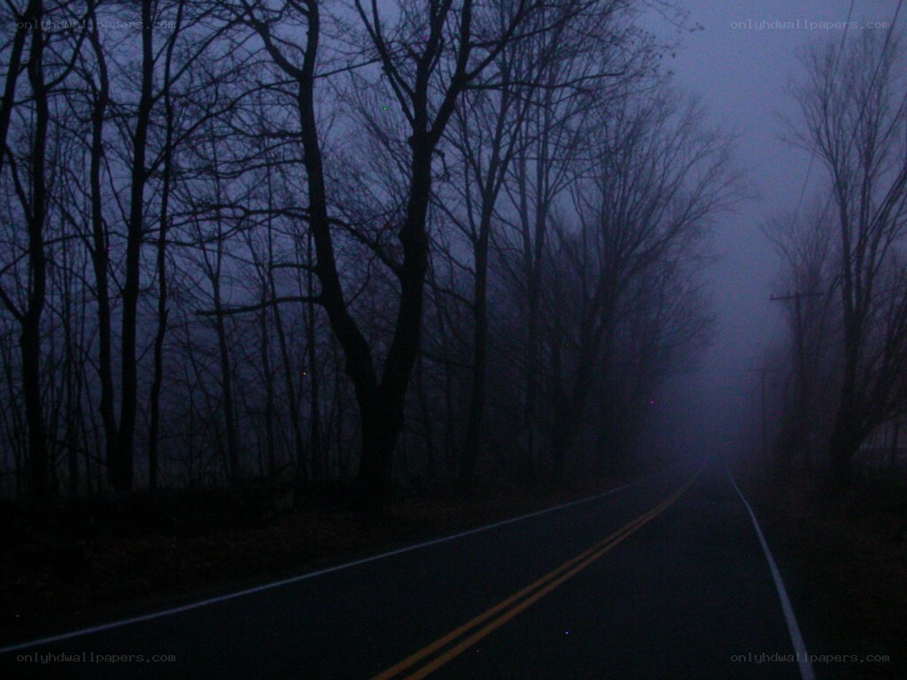 foggy road at dusk