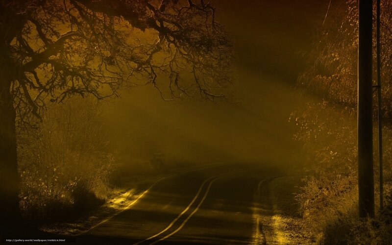 Foggy Road at Dusk