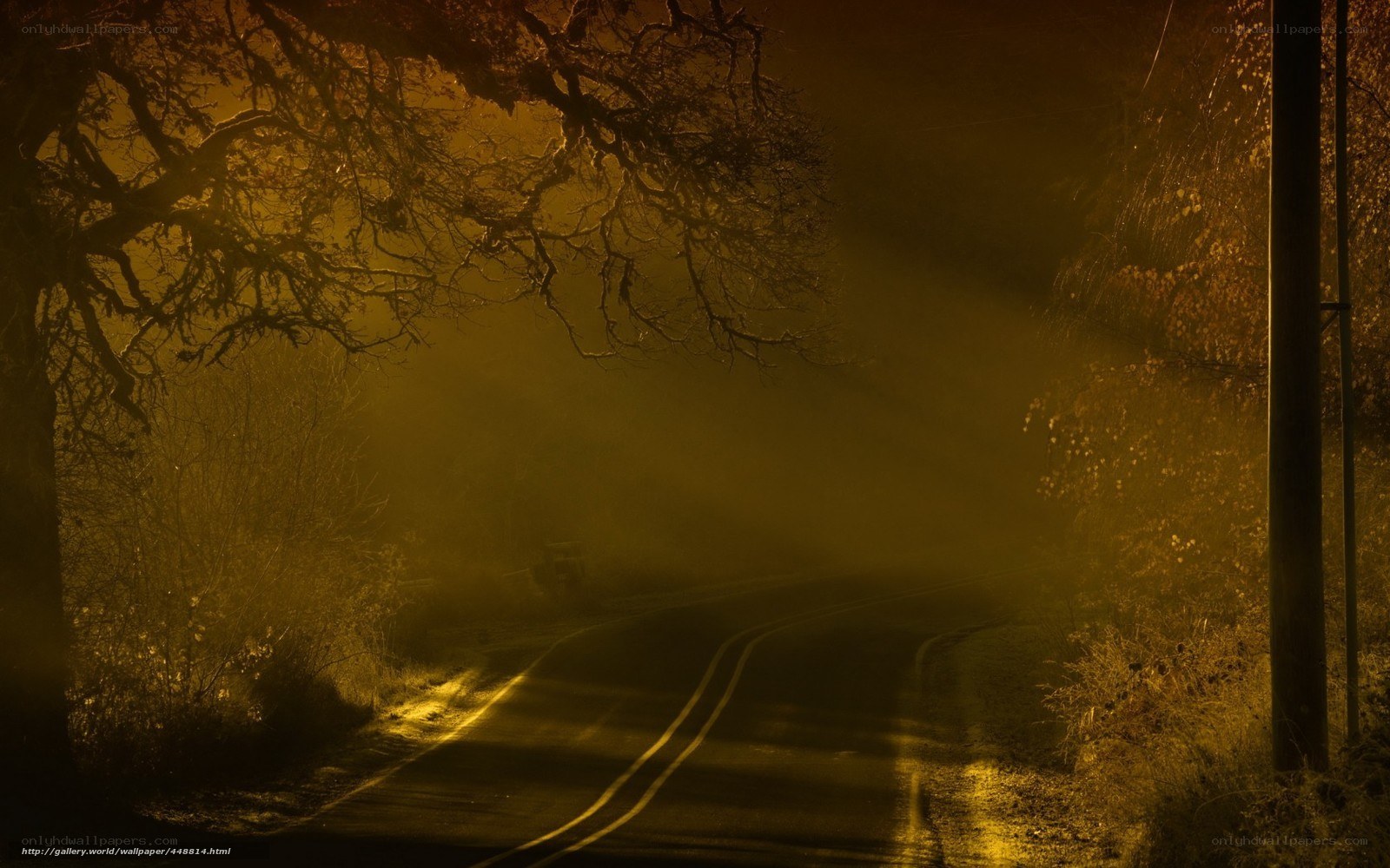 Foggy Road at Dusk