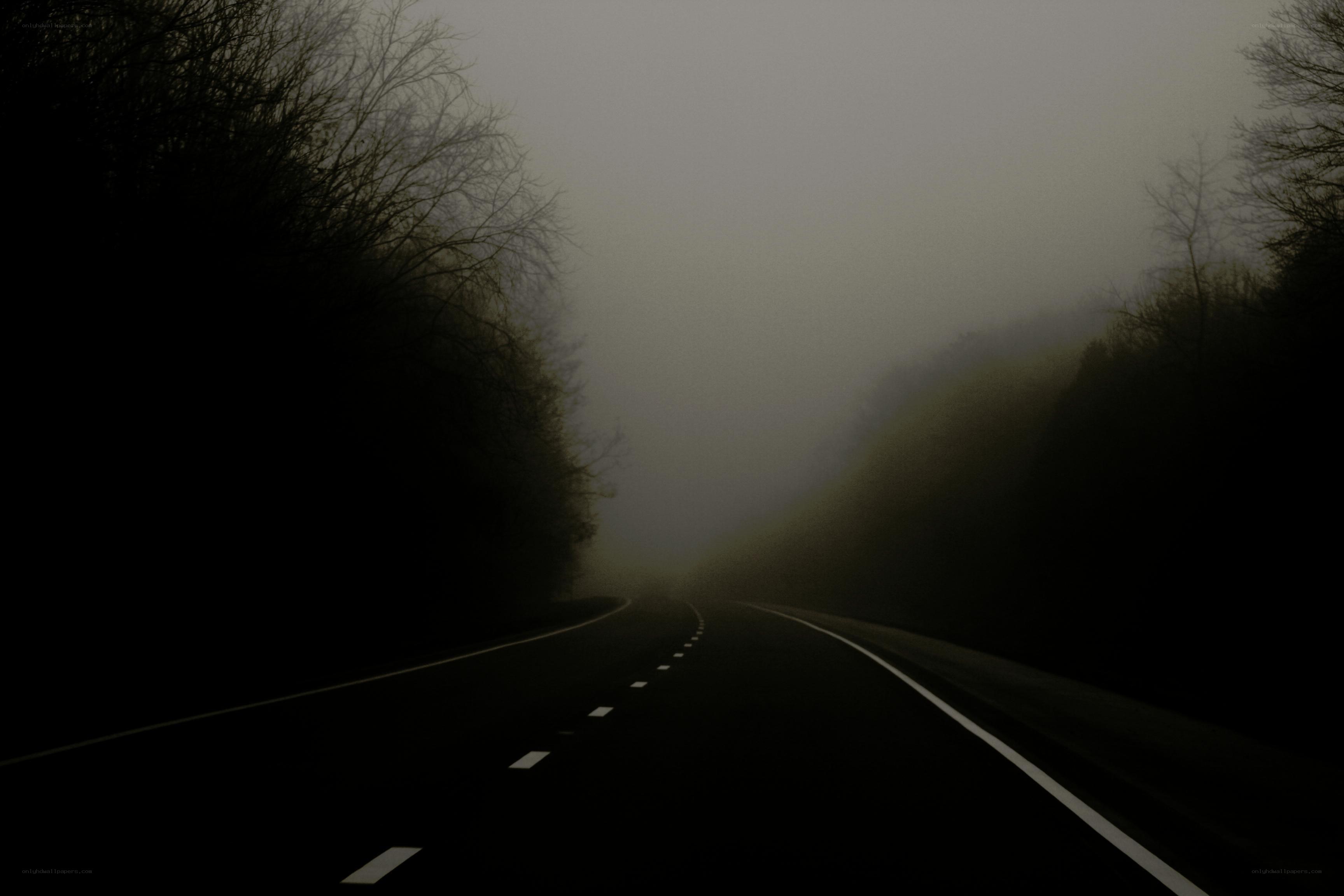 Foggy road at night