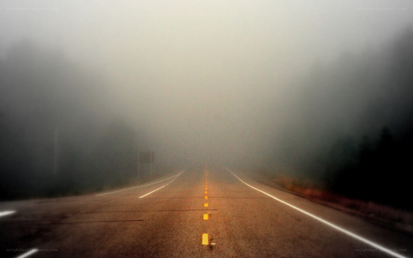 foggy road at night