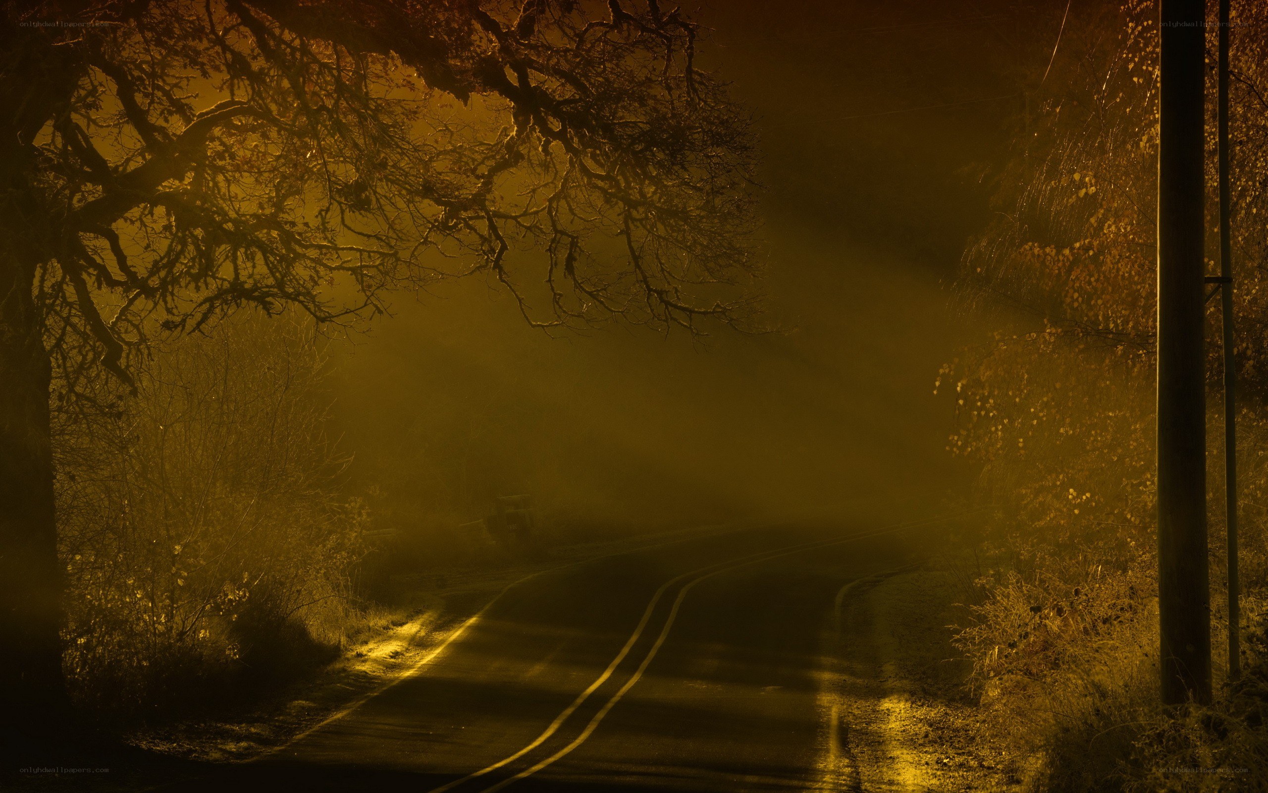 Foggy road at night