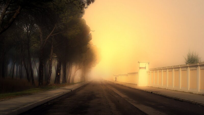 foggy road at sunrise