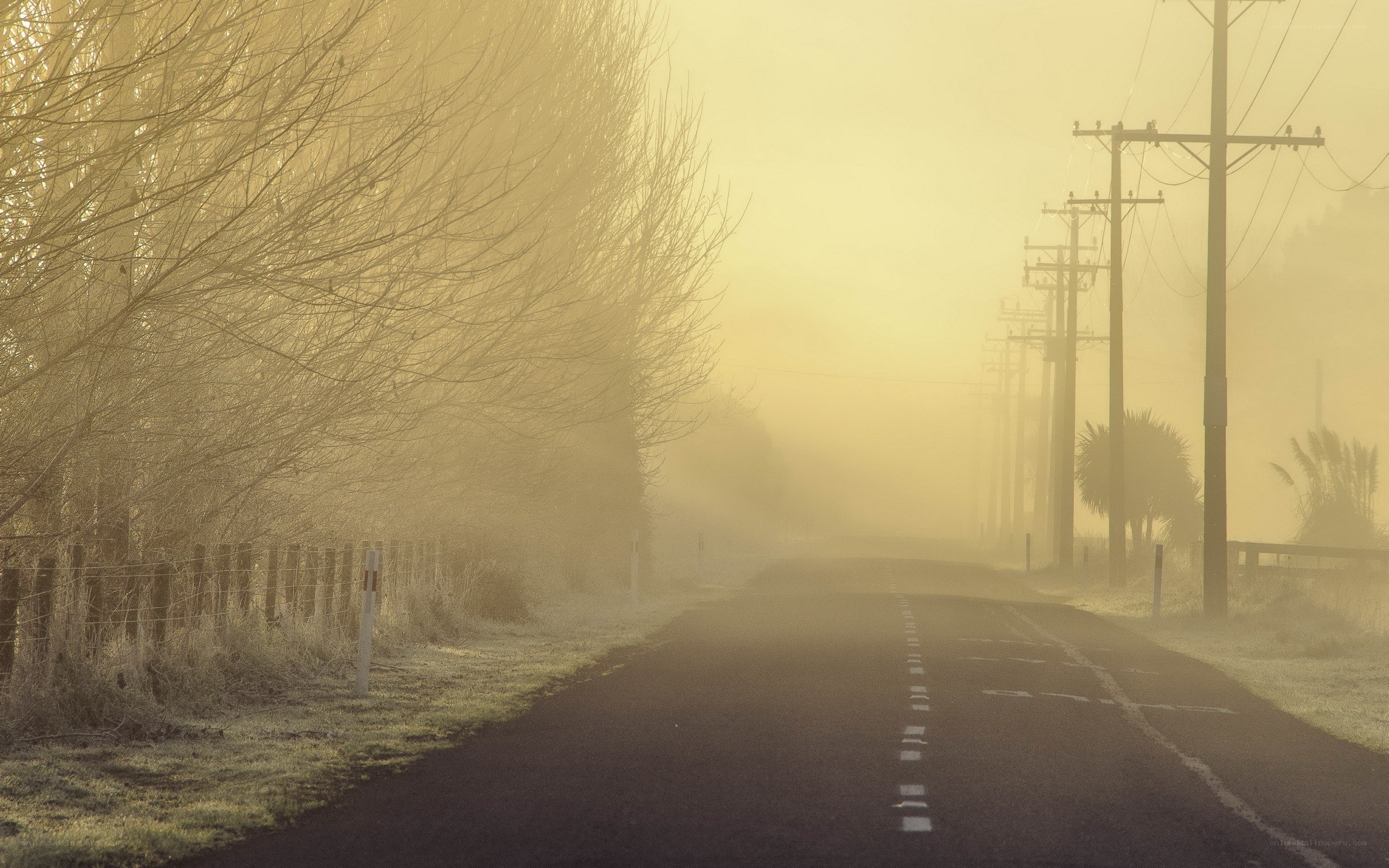 Foggy road at sunrise