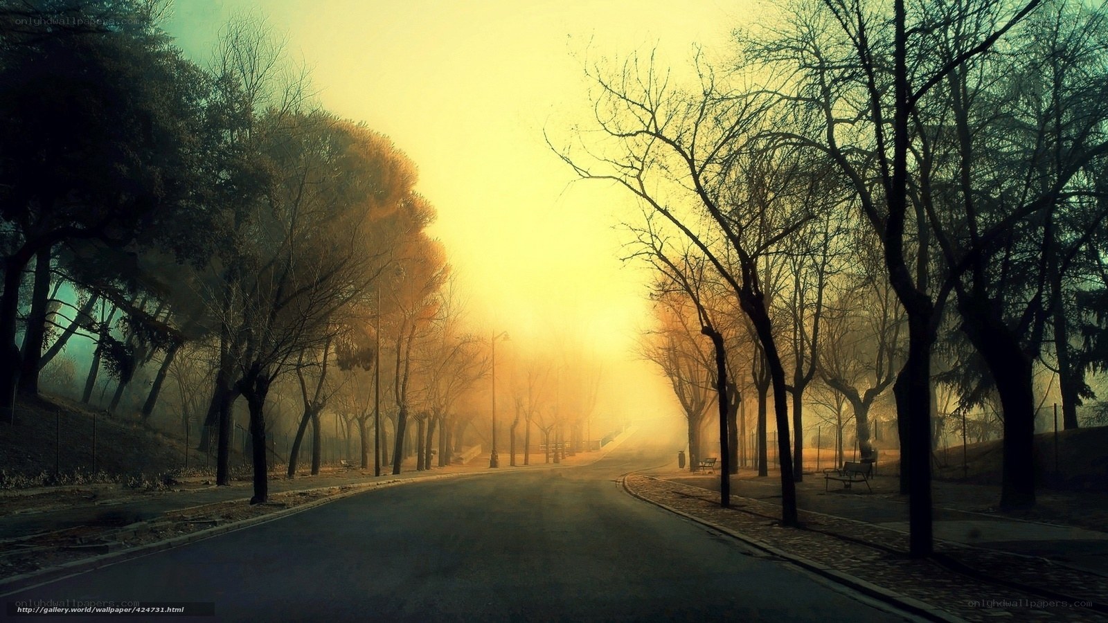 Foggy Road at Sunrise