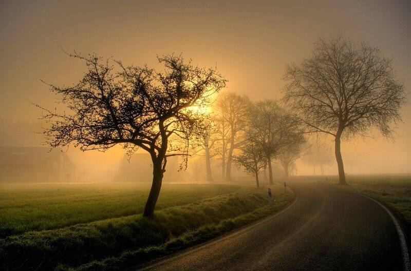 Foggy road at sunrise