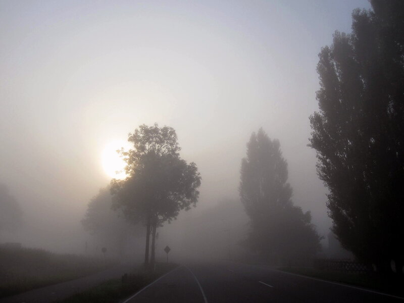 Foggy Road at Sunrise — Gray