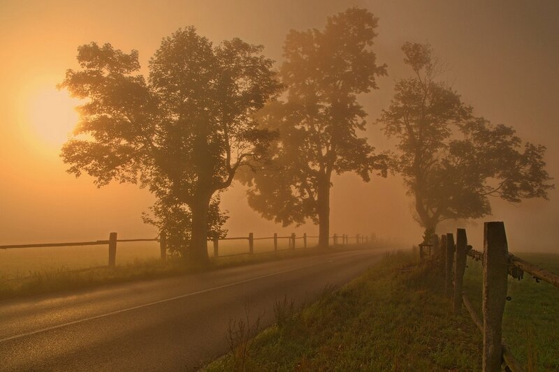 Foggy Road at Sunrise — Orange
